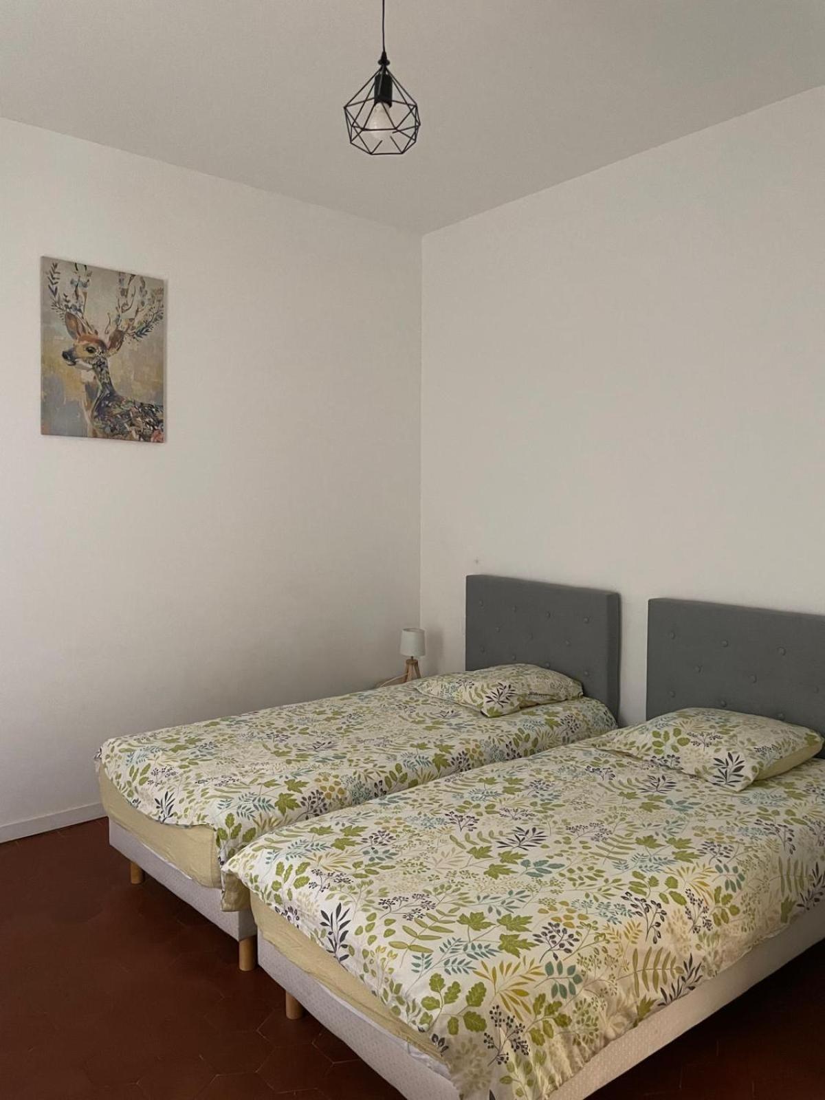 Appartement Gaudi Centre Historique Perpignan Kültér fotó